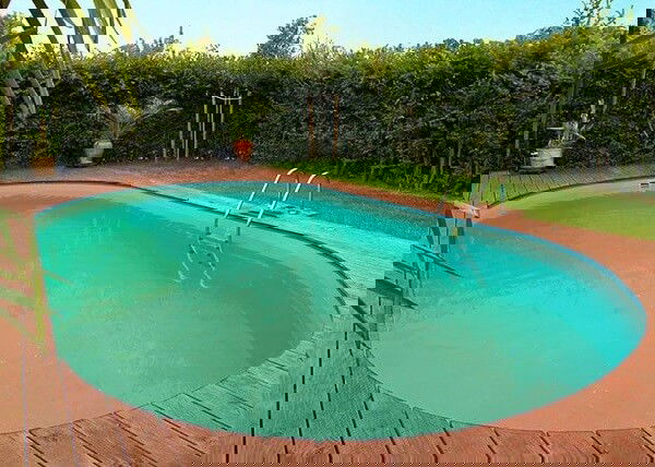 grüner Pool grünes Poolwasser