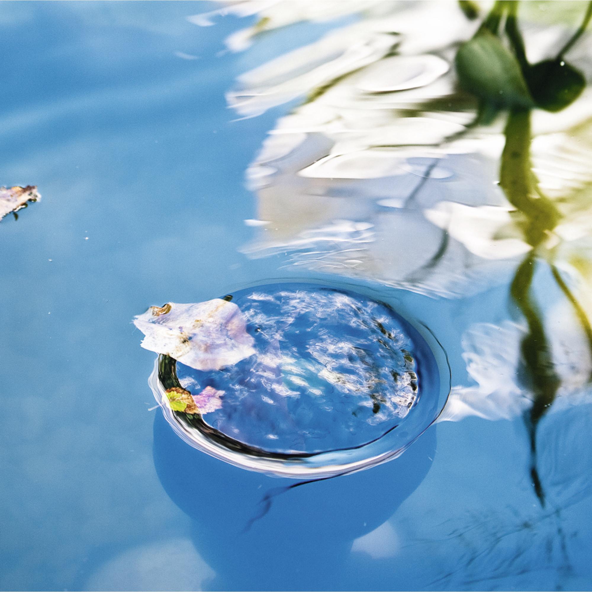 Profi Standskimmer, bis 40qm Wasseroberfläche