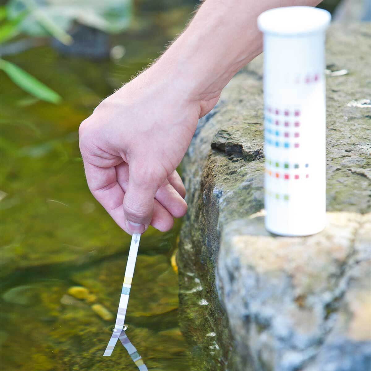Wasserwerte Messung Testreifen Wasserwerte Messung Testreifen